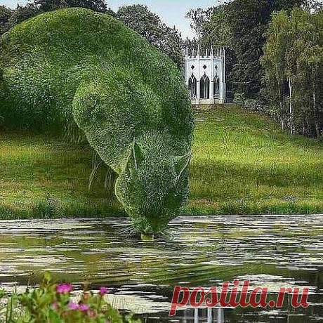 Одноклассники