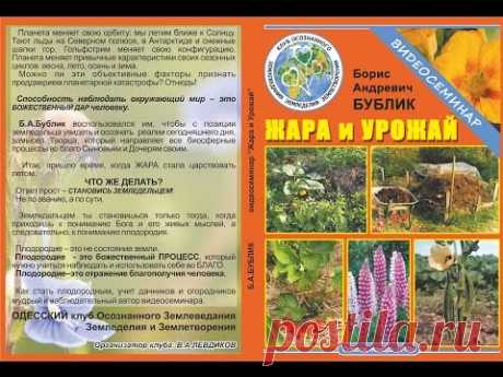 Б.А.Бублик - Жара и урожай