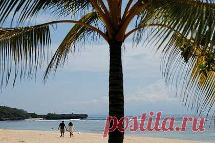 Владелец бара на Бали забил туриста табуреткой до смерти. Австралийский турист, который приехал с семьей в отпуск на Бали, ввязался в драку с владельцем местного кафе и умер от полученных травм. 40-летний Трой Скот Джонсон (Troy Scott Johnston) отдыхал на индонезийском острове вместе с женой и маленьким сыном. В среду вечером, 22 февраля, турист пошел выпить в местный бар.