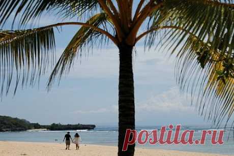 Владелец бара на Бали забил туриста табуреткой до смерти. Австралийский турист, который приехал с семьей в отпуск на Бали, ввязался в драку с владельцем местного кафе и умер от полученных травм. 40-летний Трой Скот Джонсон (Troy Scott Johnston) отдыхал на индонезийском острове вместе с женой и маленьким сыном. В среду вечером, 22 февраля, турист пошел выпить в местный бар.