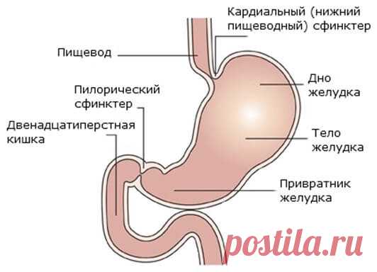 Как правильно пить воду? Я пробовала пить, но она совсем не лезет