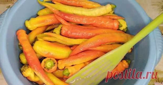 Острый перец в медовом маринаде - Будет вкусно - 11 сентября - 43765846988 - Медиаплатформа МирТесен