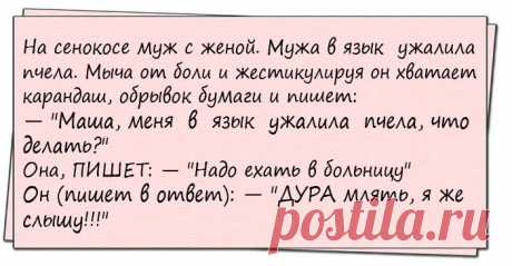 Марья Ивановна: - Дети, придумайте предложение со словосочетанием "... 
- Ты на неё молиться должен был!- Я и молился!- Да, но не "Господи, дай этой твари мозгов", а как-нибудь по-другому...

Для иcкpeннeй, зaдyшeвнoй бeceды, пoзвoнитe вaшeмy боссу в 3 чaca yтpa…

Встреч…