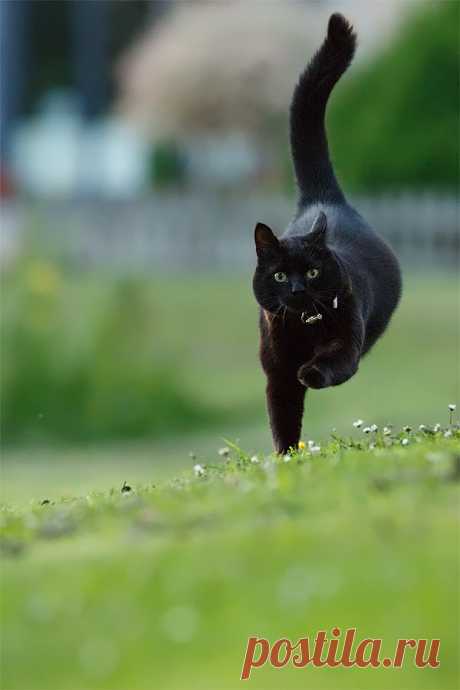 Все размеры | I Believe I Can Fly | Flickr - Photo Sharing!