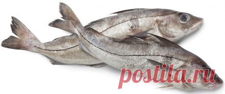 И совсем не дорого! Топ-5 самых полезных морепродуктов для здоровья и красоты женщины