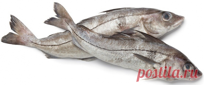И совсем не дорого! Топ-5 самых полезных морепродуктов для здоровья и красоты женщины