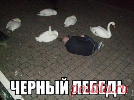 (4) Одноклассники