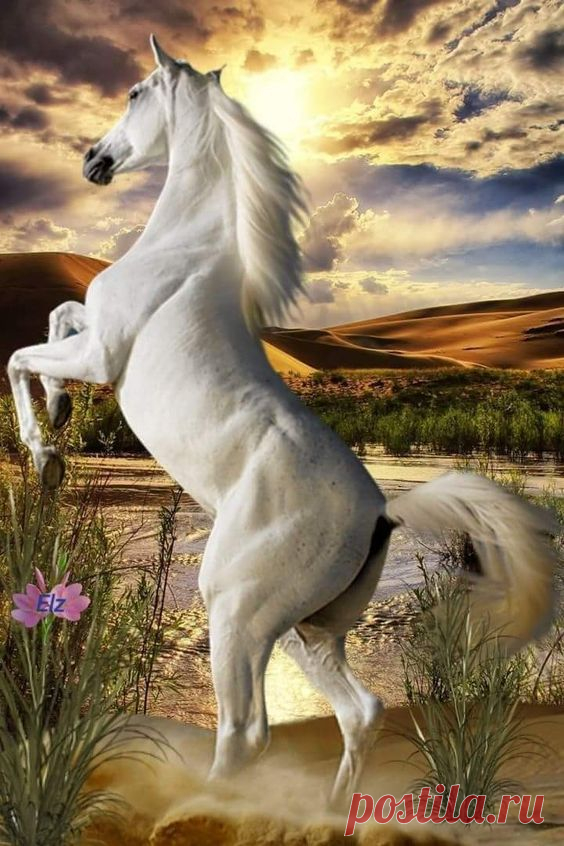(4890) Pinterest