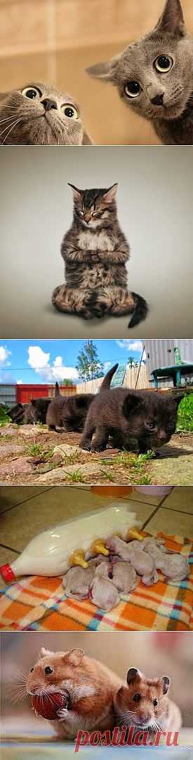 Сергей Кабанов – Google+