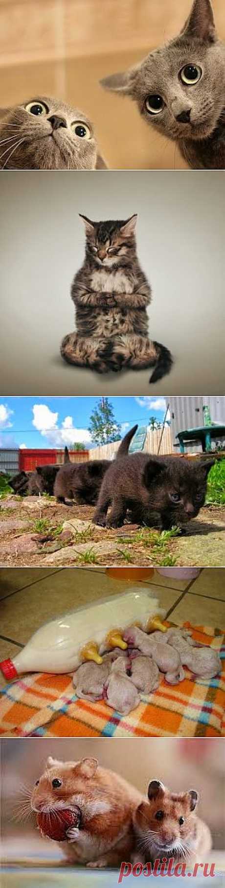 Сергей Кабанов – Google+