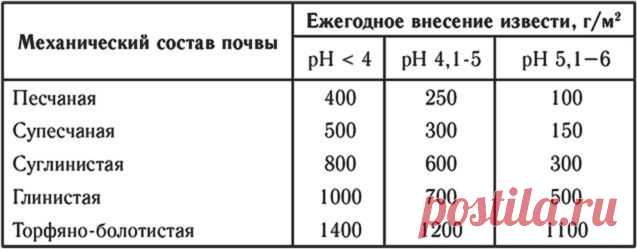 Раскисление почвы – как сделать участок на даче плодородным?