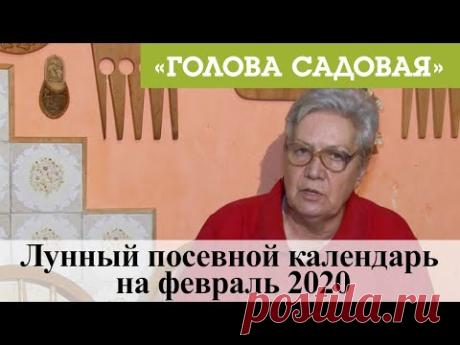 Голова садовая - Лунный посевной календарь на февраль 2020