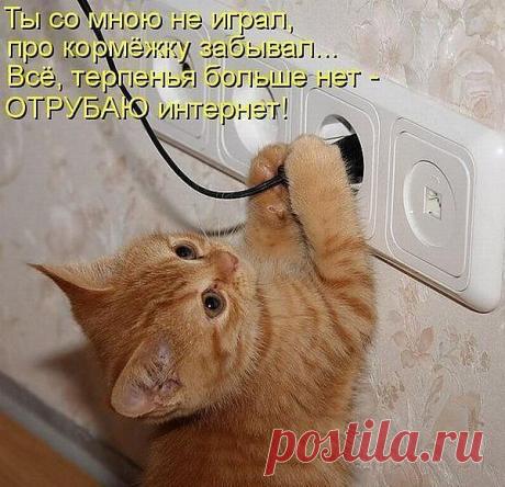 Вот они...