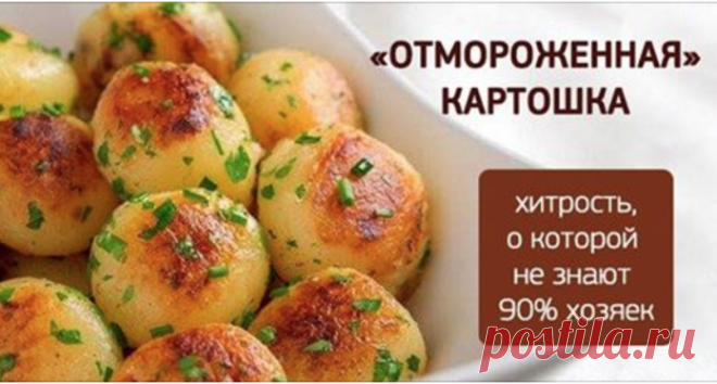 «Отмороженная» картошка — трюк о котором мало кто знает 


Мало кто знает о такой хитрости при запекании картофеля в духовке









Мало кто знает о такой хитрости при запекании картофеля в духовке, как предварительное подмораживание. Сегодня мы с вами п…