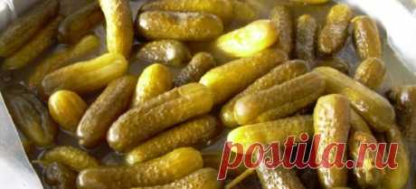 Огурцы с яблочным уксусом на зиму - рецепты