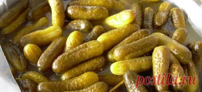 Огурцы с яблочным уксусом на зиму - рецепты