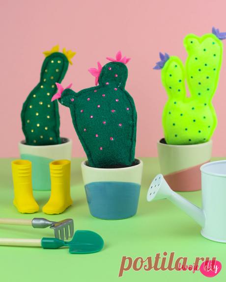 Кактусы из фетра