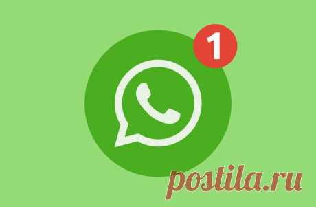 WhatsApp отключится на старых смартфонах с 1 января. Какие ОС больше не поддерживаются
