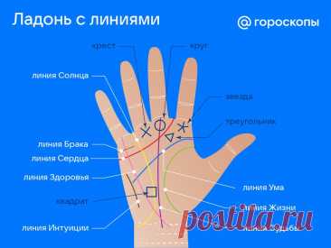 Хиромантия: можно ли узнать судьбу по линиям ладони