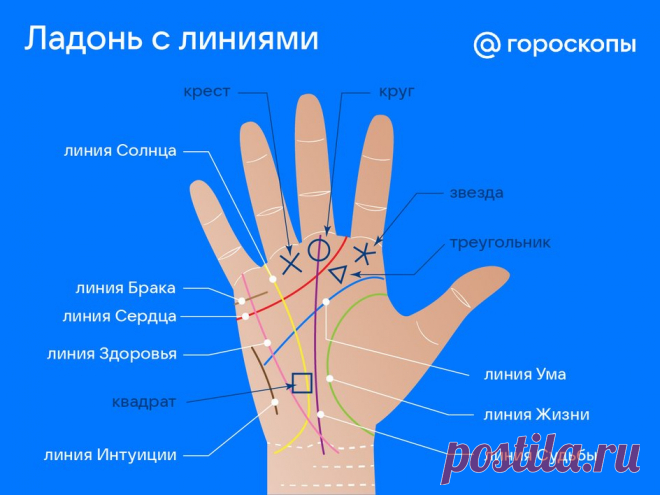Хиромантия: можно ли узнать судьбу по линиям ладони