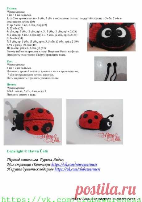 Божья коровка by Havva Unlu