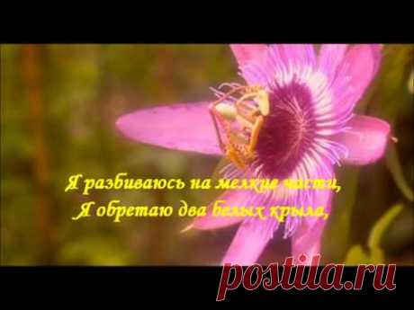 ♥Дидюля - По течению ♥Я растворяюсь в симфонии счастья