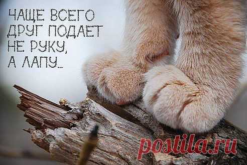 Одноклассники