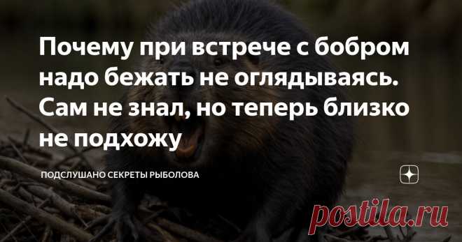 Почему при встрече с бобром надо бежать не оглядываясь. Сам не знал, но теперь близко не подхожу Статья автора «ПОДСЛУШАНО СЕКРЕТЫ РЫБОЛОВА» в Дзене ✍: Я как-то удочкой зацепил бобра. У меня нет больше этой удочки. Хорошо, что я еще есть у себя. Летнее утро.