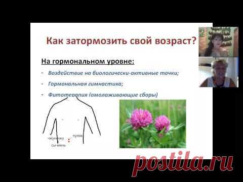 Ольга Левонюк " Пластические хирурги отдыхают..." 20.07