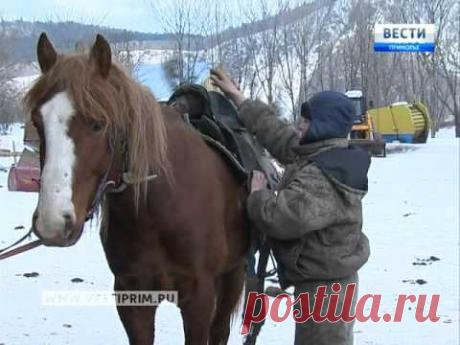 Староверческие семьи переселенцев из Боливии и Уругвая обосновались в Приморье