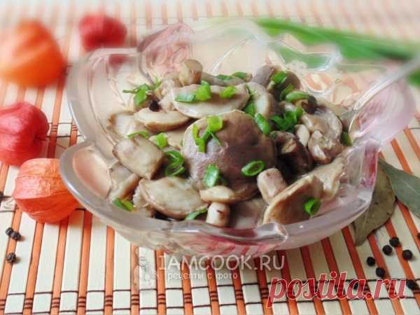 Маринованные маслята на зиму (горячим способом)