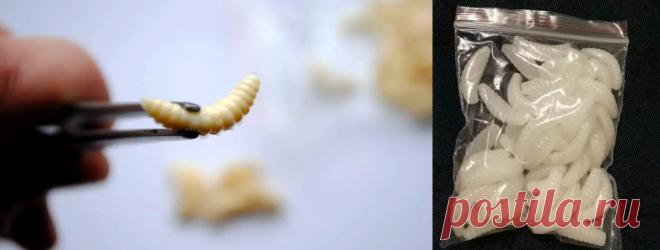 Самоделка – ароматизатор для рыбалки своими руками - Охота и рыбалка - медиаплатформа МирТесен