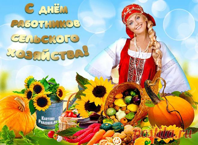 Поздравляю Вас с Днем работников сельского хозяйства и перерабатывающей промышленности!