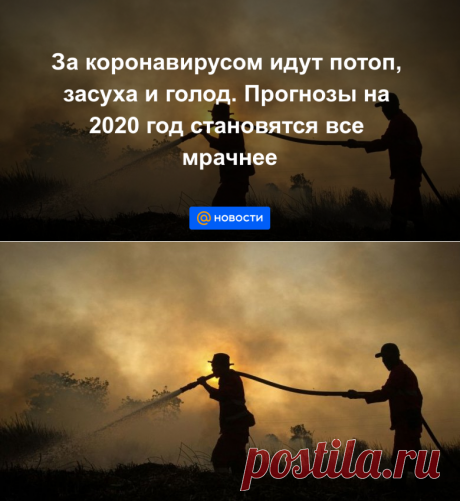 За коронавирусом идут потоп, засуха и голод. Прогнозы на 2020 год становятся все мрачнее - Новости Mail.ru