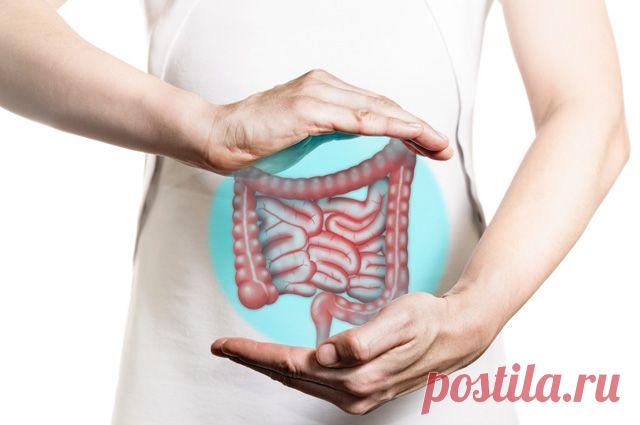 Предвестники беды. Проктолог – о симптомах, которые должны насторожить Безопасная порция красного мяса – 300 граммов в неделю. А сосиски, колбаса и сладкая выпечка – самый близкий путь к раку толстой кишки.