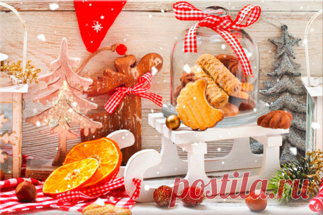 В гостях у НИНОК.