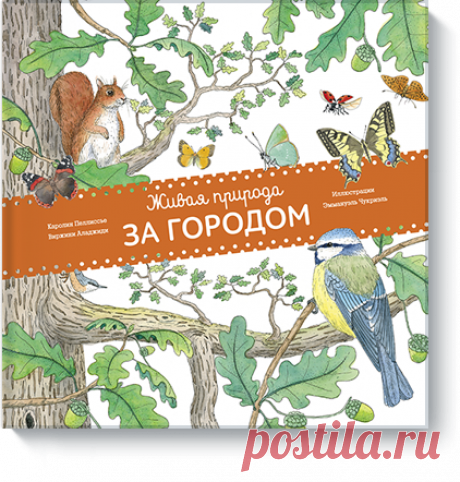 Что может быть лучше прогулки за город? Смотри, сколько цветов на лугу! Как они называются? А вот ползет улитка: зачем ей нужна раковинка? Слышишь, как громко квакают лягушки: почему они селятся рядом с водой? Видишь, ежик спешит в лес: какой домик он готовит себе к зиме? Новая книга &quot;Живая природа. За городом&quot; ( познакомит ребенка с удивительным миром природы и задаст немало загадок. Ответы ребенок узнает, отогнув странички-клапаны. Прекрасные натуралистичные иллюстрации Эммануэль…