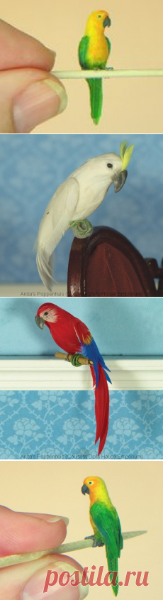 Как сделать миниатюрного попугая Мастер класс
