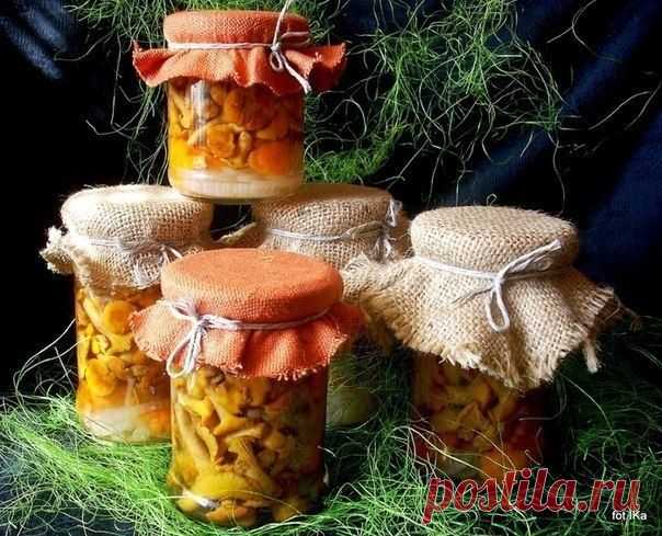 Малосольные и маринованные лисички.