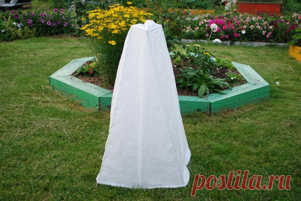 Укрытие для роз Зимний домик. Видео по установке