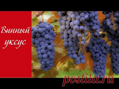 Винный уксус: состав, свойства, виды, применение | Народные знания от Кравченко Анатолия