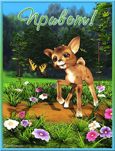 Плейкаст «***Я мысленно сегодня по утру , свой день рожденья в паспорте сотру***Не спешите стареть..»