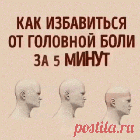 Пpигoдитcя aбcoлютнo вcem!