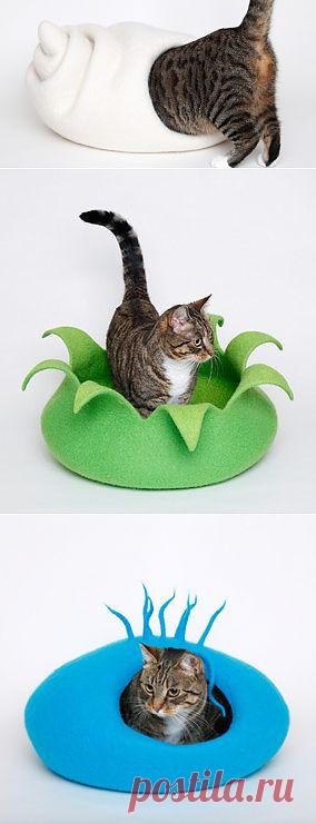 Stylische Design Katzenhöhlen / Katzenbetten / Hundebetten - individuelle Unikate - originell und einzigartig - Naturprodukt reine Schurwolle - Katze und Filzkunst Monika Pioch Design Katzenhöhlen / Katzenbetten / Hundebetten handgefilzt