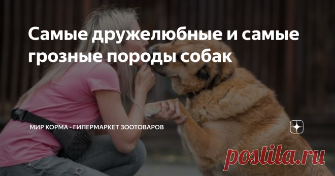 Самые дружелюбные и самые грозные породы собак Заводчики и кинологи на основе многолетних наблюдений отмечают зависимость поведения питомцев от их породы.