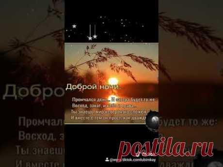 Спокойной нам ночи! #спокойнойночи​
