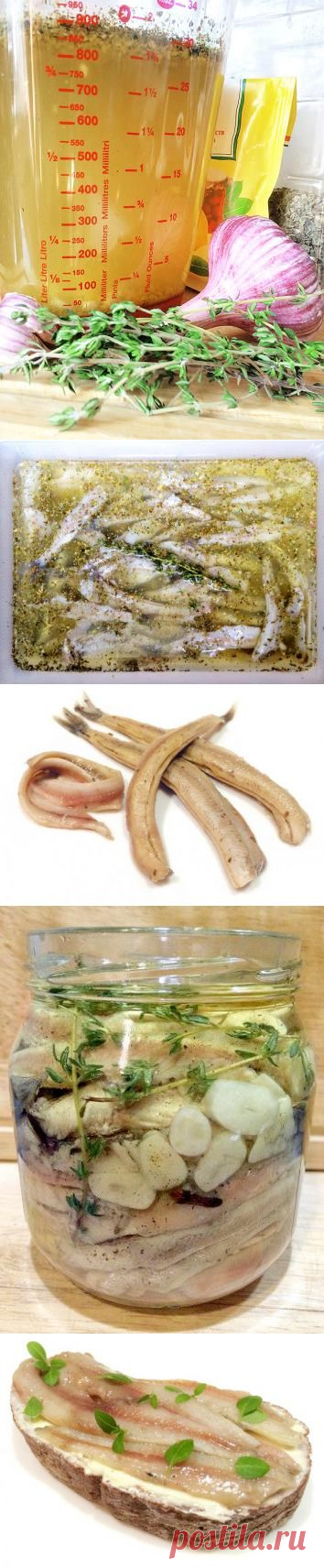 ШИКАРНЫЕ АНЧОУСЫ ИЗ ДЕШЕВОЙ МОЙВЫ