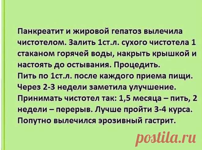 ZKPkT7jKhtk.jpg (1024×764)