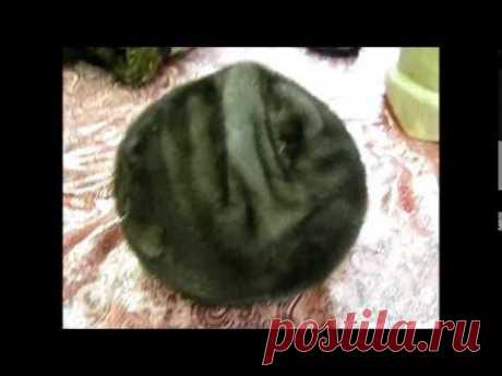 Перетяжка меховой шапки на берет — Яндекс.Видео