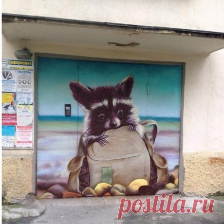 Новости